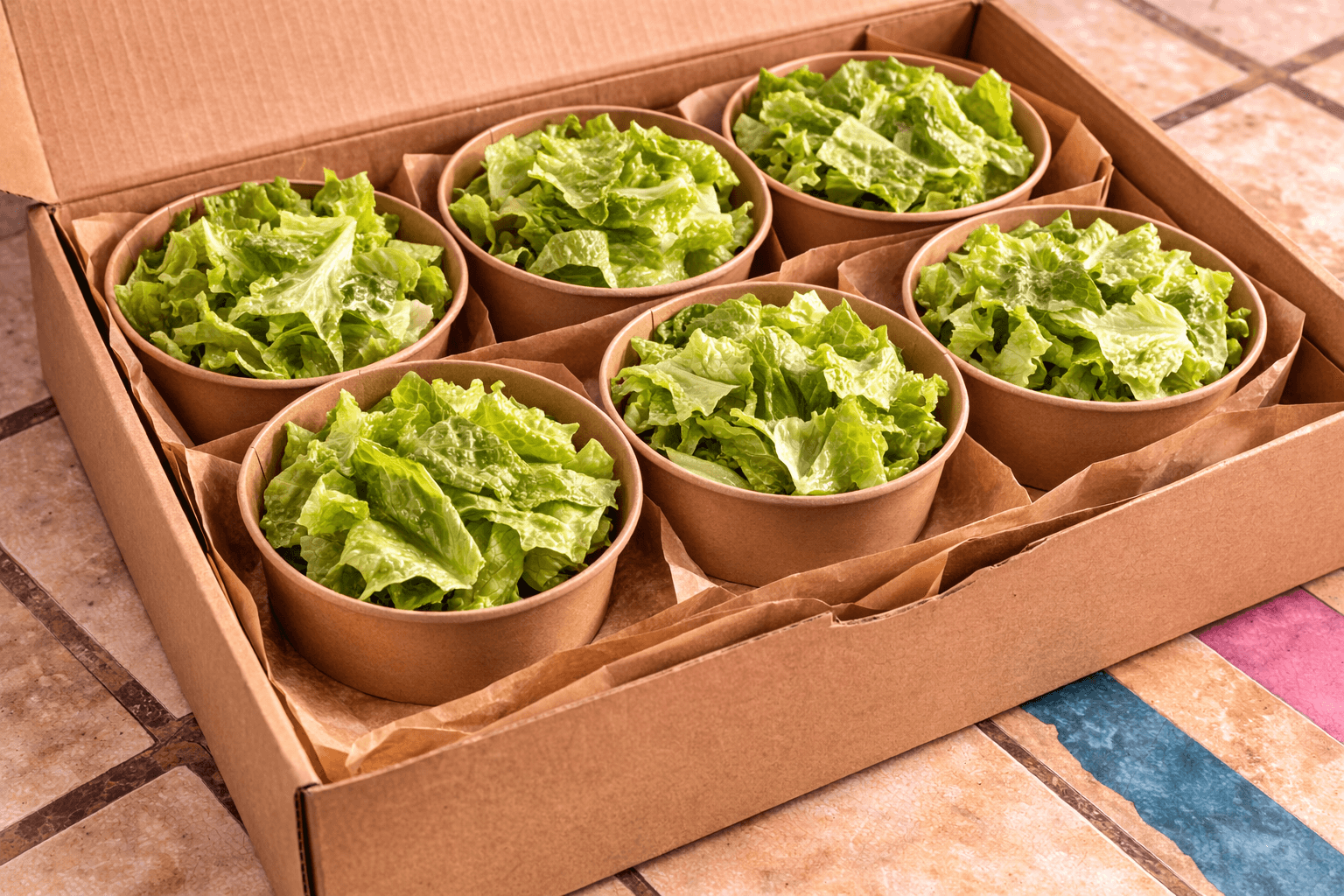 Side Salad for 6